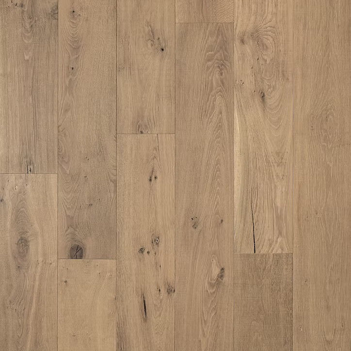 Renaissance Collection | Vasari