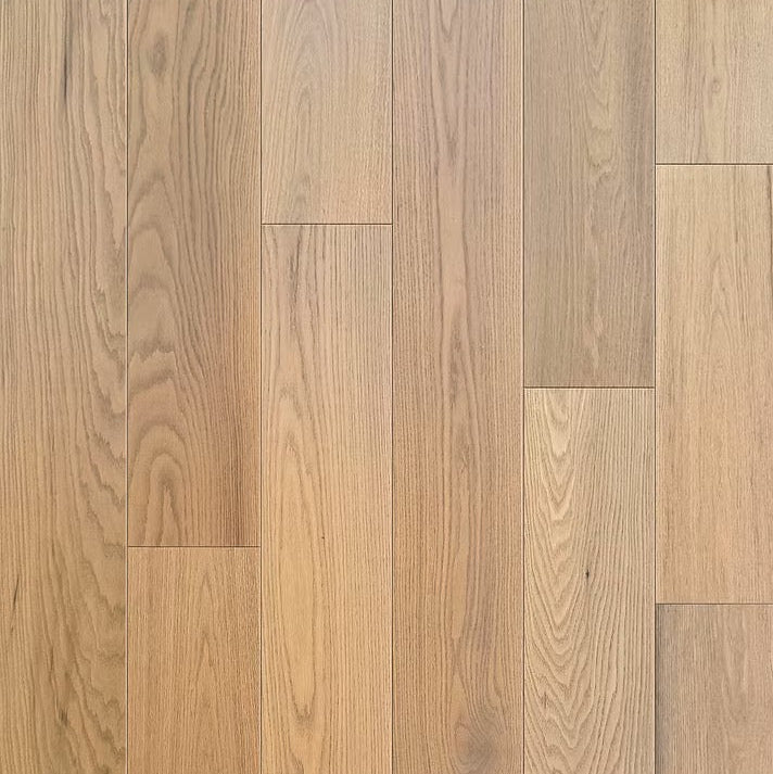 Eterna Collection | Aura