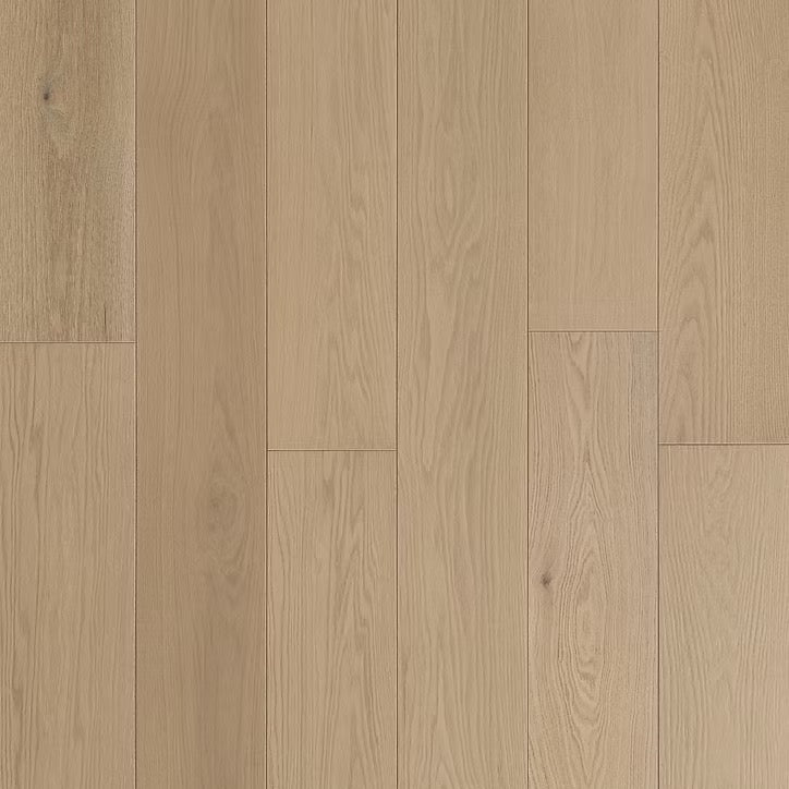 Eterna Collection | Eclipse