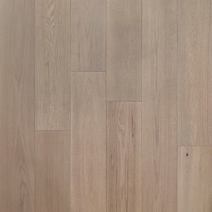 Eterna Collection | Millen