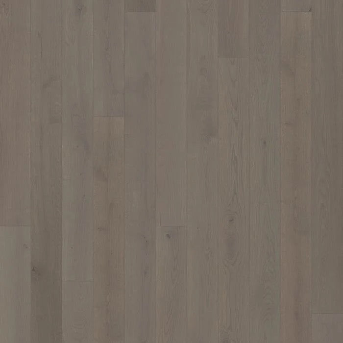 Kährs Canvas Collection | Oak Morel