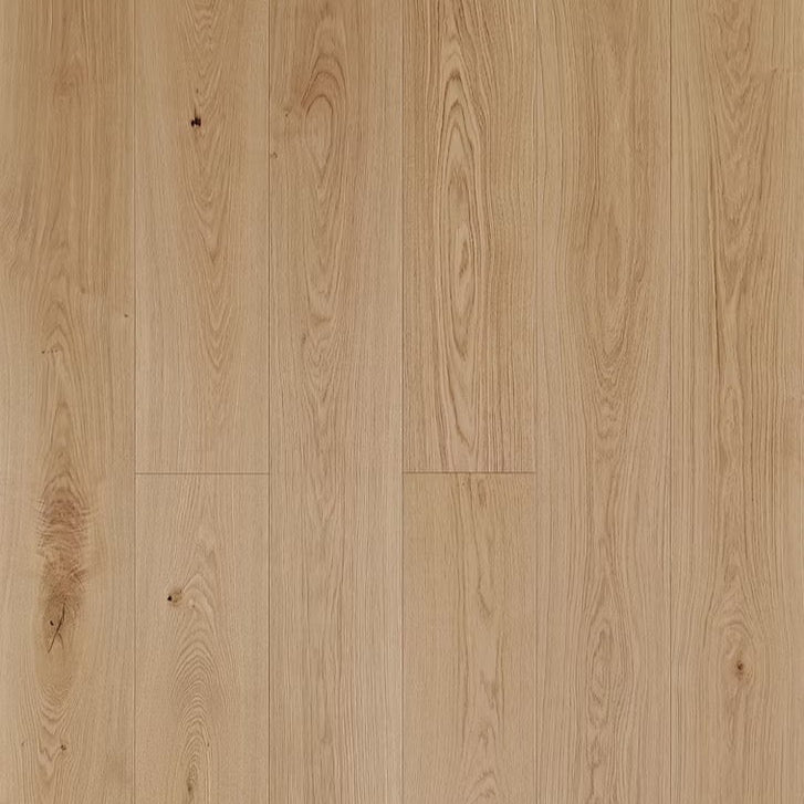 Apogee Collection | Malpaso