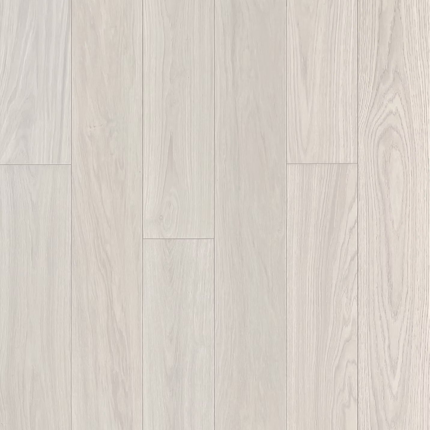 Apogee Collection | Giona-S