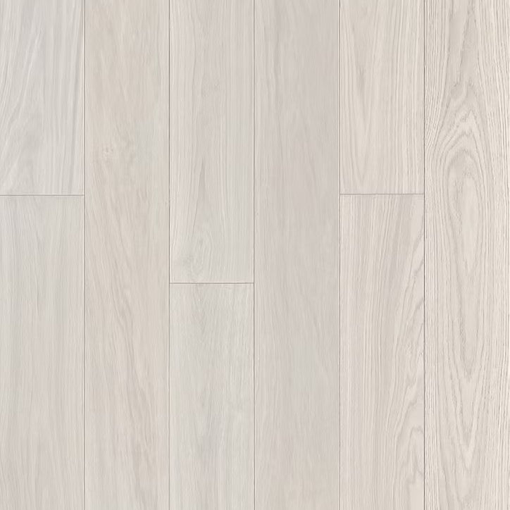 Apogee Collection | Giona