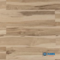 Toucan Collection | WaterProof Luxury Vinyl Hickory Natural