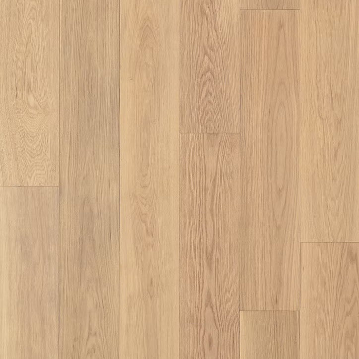 Apogee Collection | Ossa-S