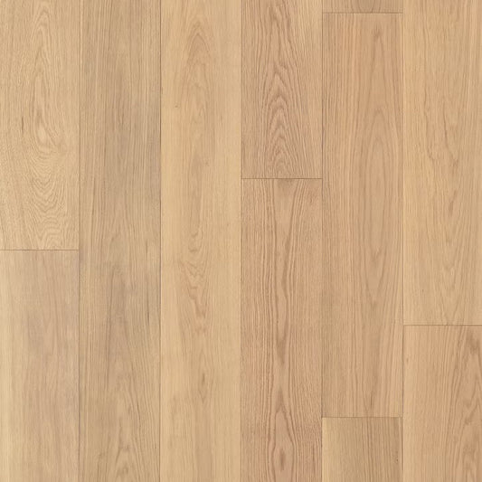 Apogee Collection | Fengari-S