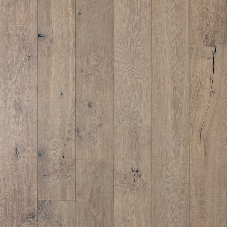 Renaissance Collection | Raphael