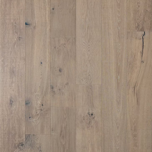 Renaissance Collection | Raphael