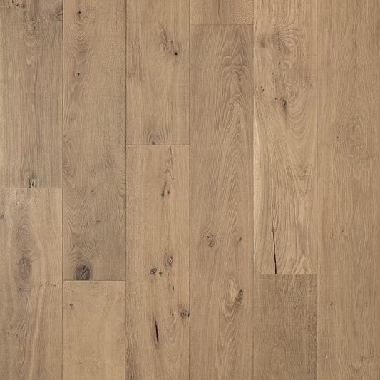 Renaissance Collection | Vasari