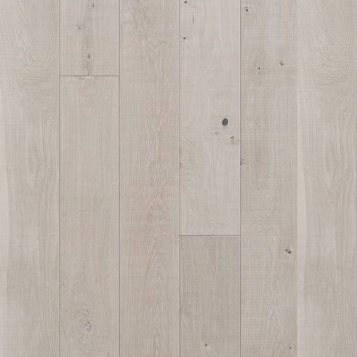 Renaissance Collection | Cellini