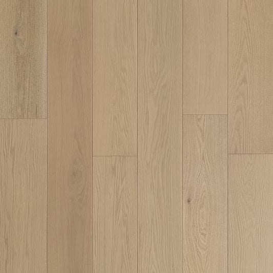 Eterna Collection | Eclipse