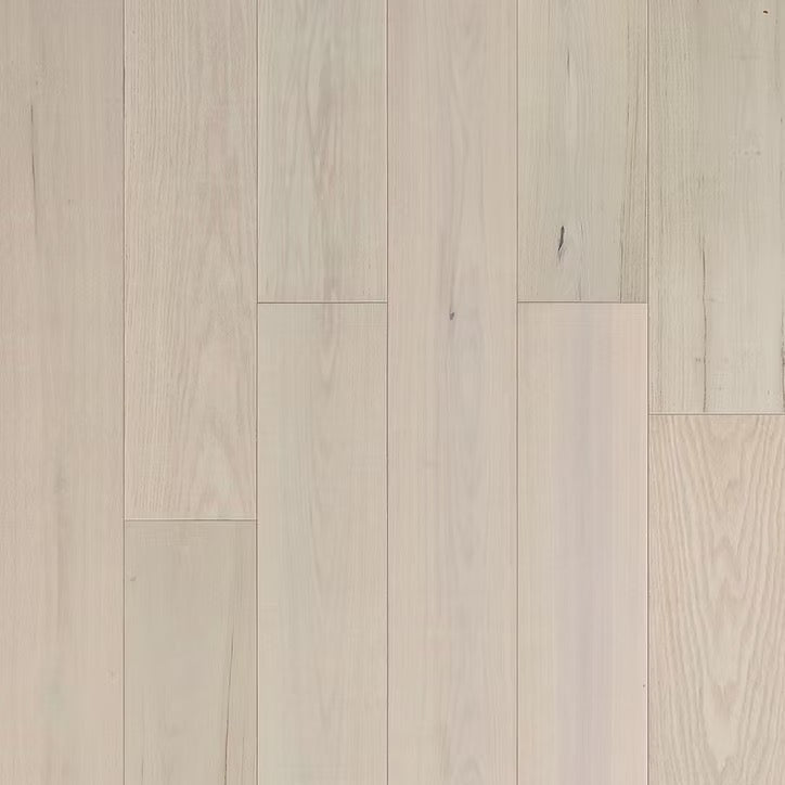 Eterna Collection | Genesis