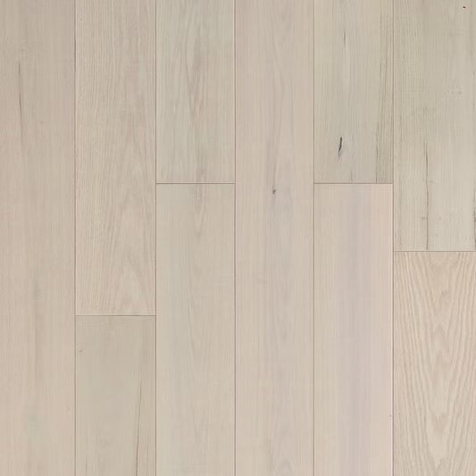 Eterna Collection | Genesis