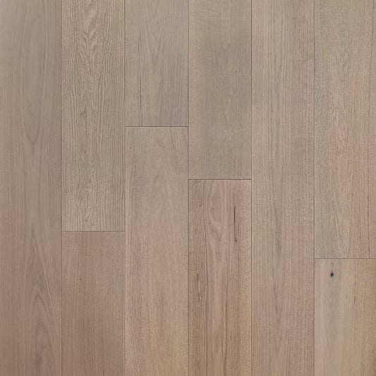 Eterna Collection | Millen