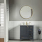 Paloma 30" Dark Gray Bathroom Cabinet