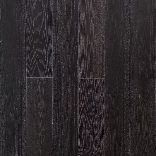 Eterna Collection | Epoch