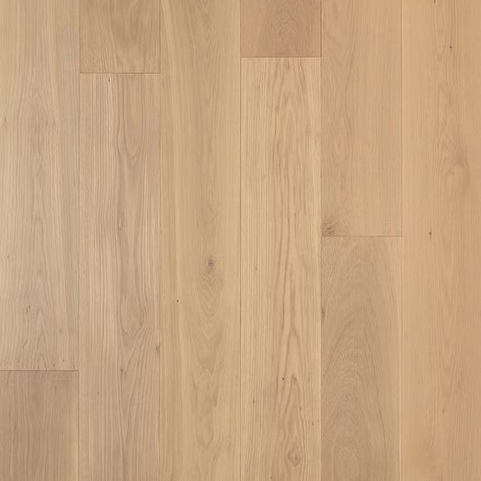 Apogee Collection | Ossa