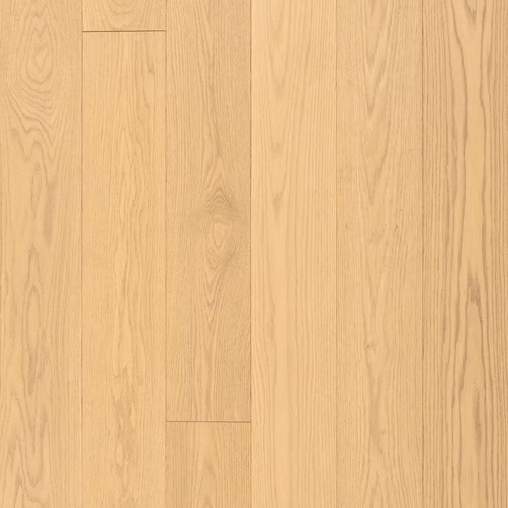 Designer Collection | City Scape