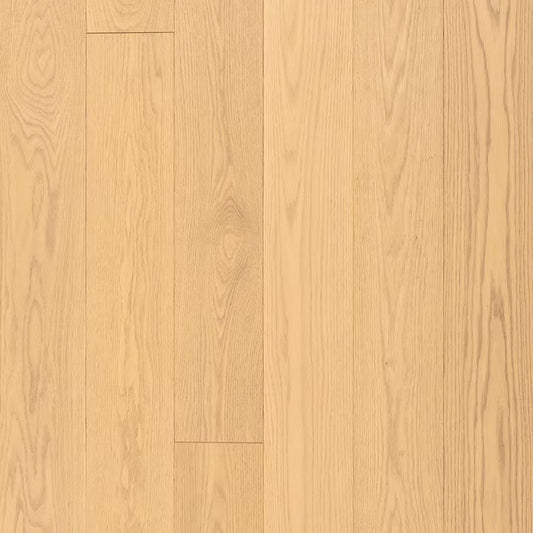 Designer Collection | City Scape