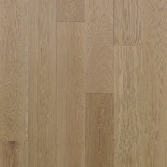 Apogee Collection | Vetta