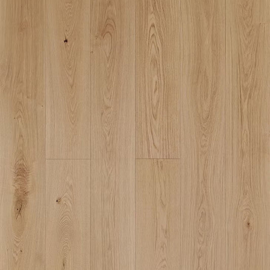 Apogee Collection | Malpaso