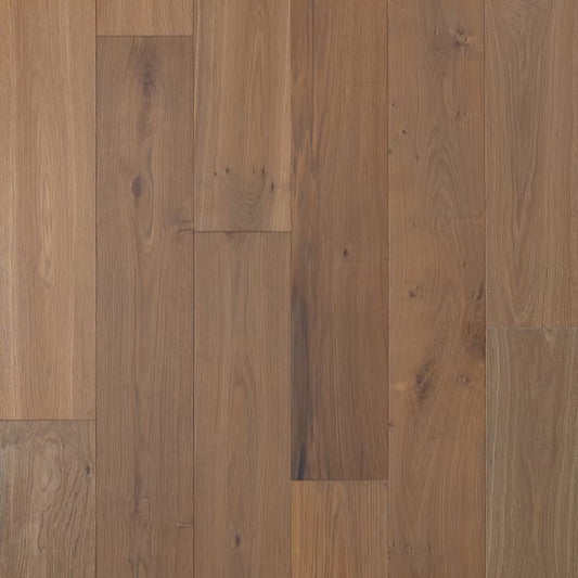 Apogee Collection | Fengari