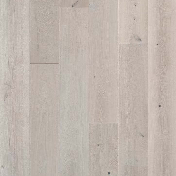 Apogee Collection | Stavros