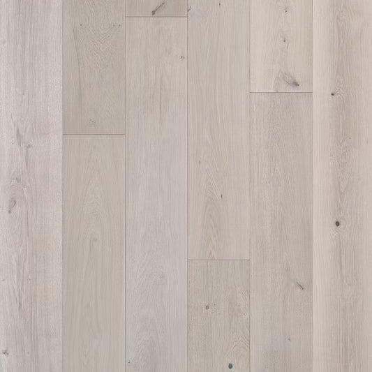 Apogee Collection | Stavros