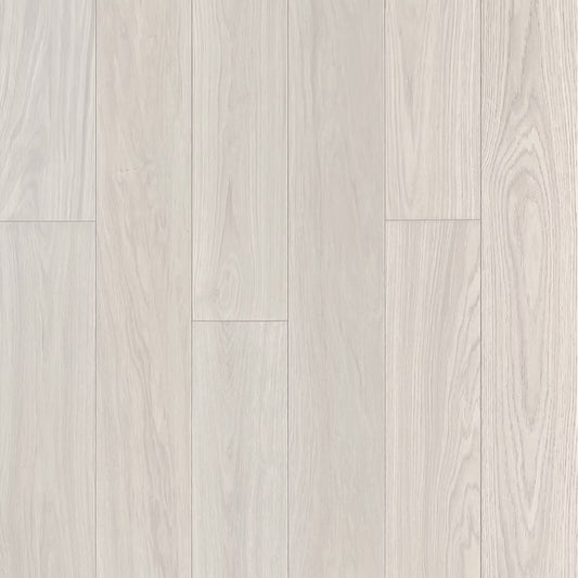 Apogee Collection | Giona-S