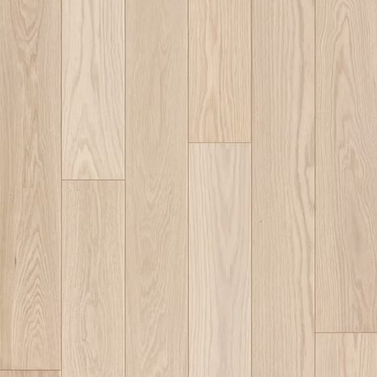 Designer Collection | Modern Loft