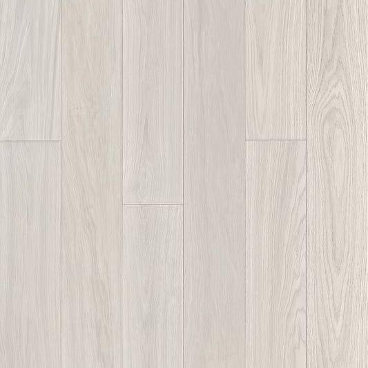 Apogee Collection | Giona