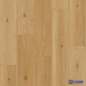 ShoreFlor Laminate | Lighthouse Oak Cay